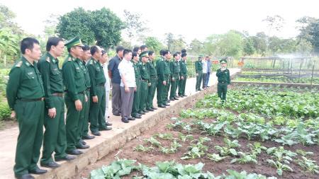 “Mầm xanh” vươn mình trong nắng gió