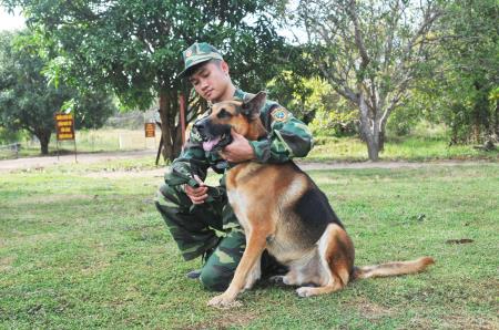 Những “khuyển binh” dũng mãnh