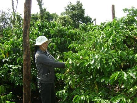 Hội nghị xúc tiến đầu tư tỉnh Đắk Lắk năm 2019