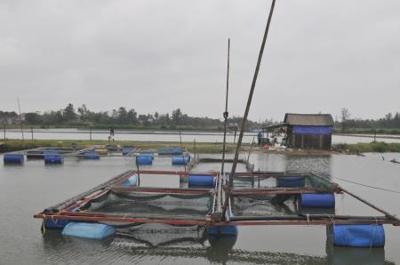Hậu Formosa xả thải: Cần mở rộng đối tượng được bồi thường