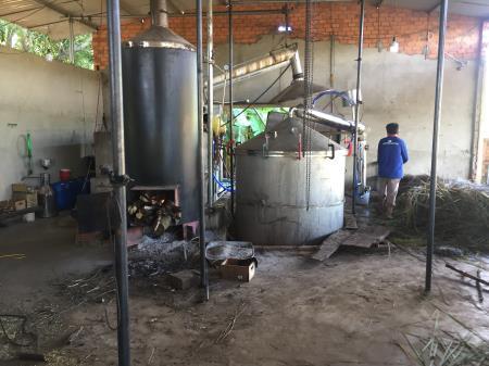 Thu nhập cao từ chưng cất tinh dầu sả