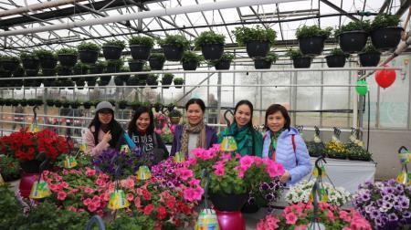 Nhà kính nông nghiệp - Điểm tham quan hấp dẫn của Hà Lan