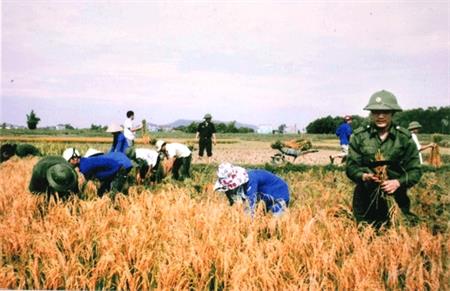 "Hái quả chính sách"