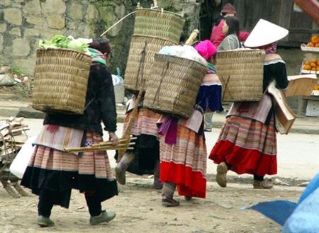 Con trâu với người Thái Đen Mường Lò