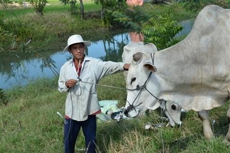 Khi người nghèo có "cần câu" trong tay