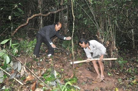 Đồng lòng trồng mây giữ rừng
