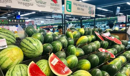 Cần bước đi vững chắc