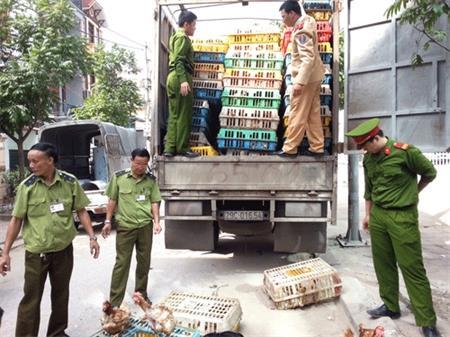 Buôn lậu gia cầm qua biên giới ở Quảng Ninh: Đã "hạ nhiệt"