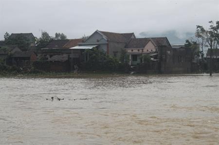 Ghi từ vùng lũ Bình Định