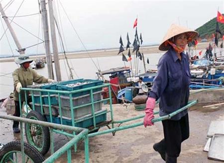 Ngư dân nô nức "hái lộc biển" đầu năm