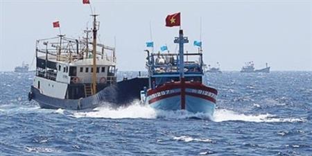 Một thoáng Cô Lin