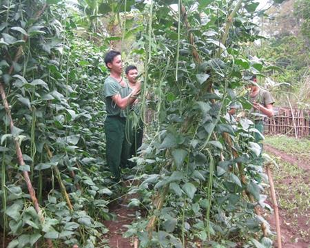 Vững vàng Đắk Bô