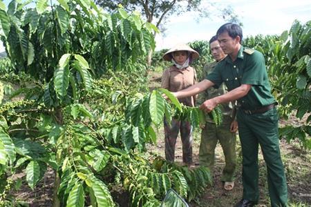 Kết nghĩa với đồng bào dân tộc để phát triển kinh tế