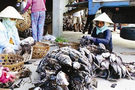 Trăn trở cùng những ước mơ