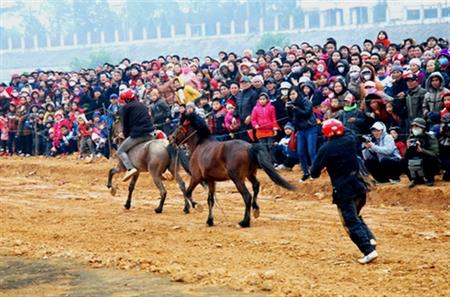 Sắc xuân hội tụ