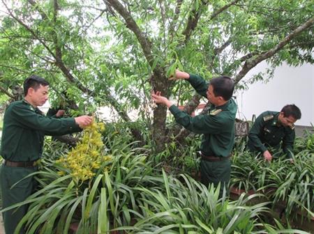 Dào San - Sức lan tỏa của môi trường văn hóa mới