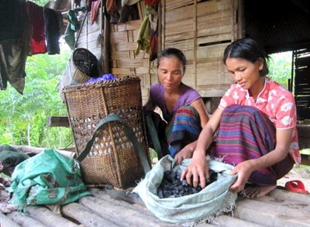 Lao đao phận nữ đốt than