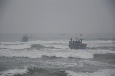 Hàng trăm phương tiện lao vào bờ tìm nơi trú ẩn
