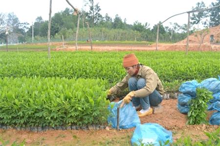 Làng ươm "lộc" cho đời