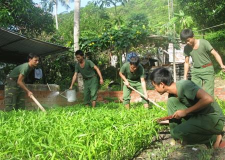 Xuân ấm ở đường chân trời