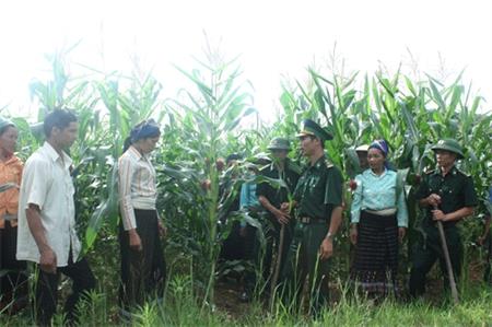Đổi thay trên bản Poom Khuông