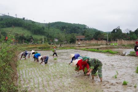 Ngày đầu xuân trên bản Rào Tre