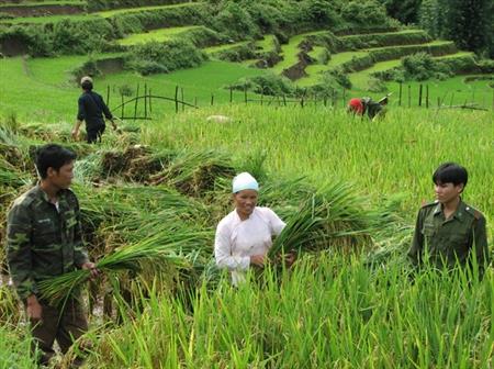Xuân ấm trên bản La Hủ