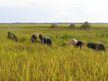 Kỳ tích nông nghiệp Việt Nam