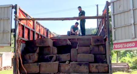 Ngăn chặn gỗ lậu ở khu vực biên giới Ngọc Hồi