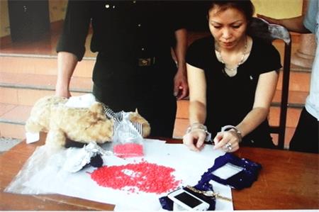 Đi "du lịch", xách ma túy về nước