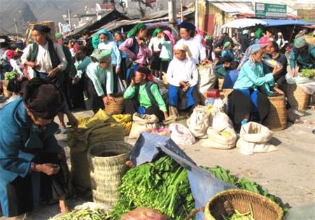 Diễn đàn Doanh nghiệp Nông nghiệp năm 2012: Gỡ khó cho doanh nghiệp