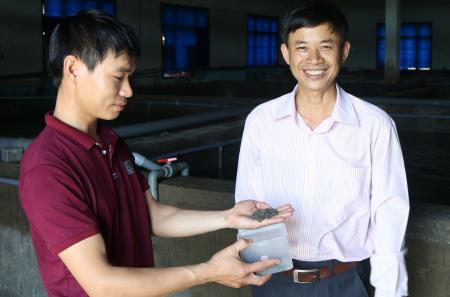 Nuôi tôm hùm trong... bể