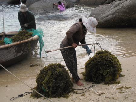 Công cụ quan trọng để bảo vệ môi trường biển