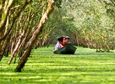 Trà Sư - "Đảo xanh" giữa đồng bằng