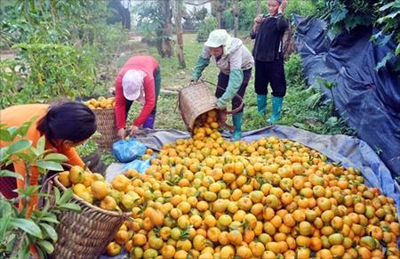 Người "nhiều chuyện" làm "nên chuyện" ở Sả Hồ
