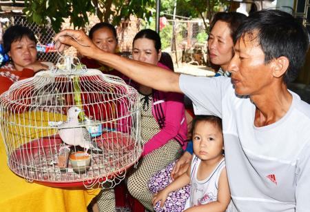 Nổi chìm... đời ngư phủ