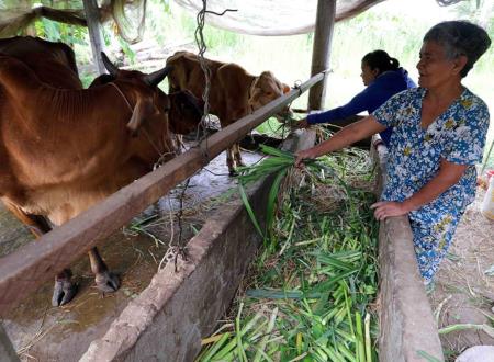 Đổi thay vùng quê một thời nghèo khó