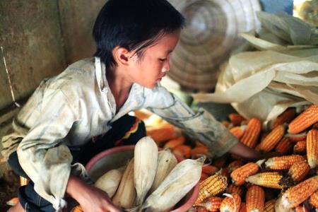 Thành lập Tổ công tác đặc biệt hỗ trợ khởi nghiệp cho đồng bào dân tộc thiểu số