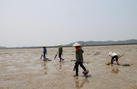 “Săn” lộc biển giữa đảo xa
