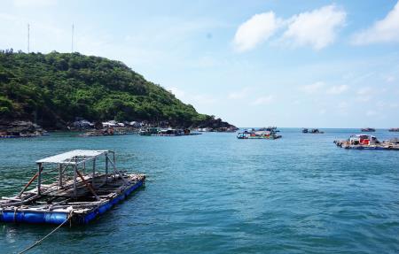 Ấm áp hành trình "Tuổi trẻ Cà Mau với biển đảo quê hương" năm 2019