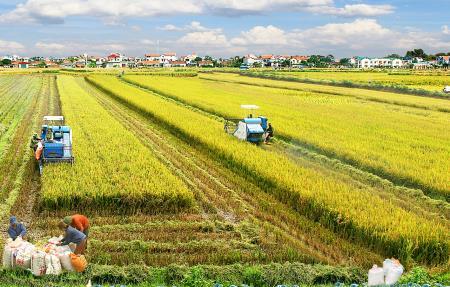 “Trụ đỡ” trước đại dịch