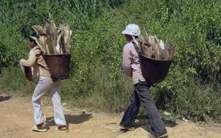 Đằng sau cơn lốc săn lùng "lộc rừng"