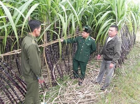Giữ mãi màu xanh biên cương