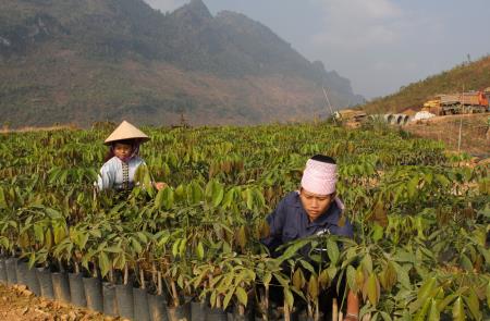 Đảm bảo phát triển bền vững trong sử dụng đất