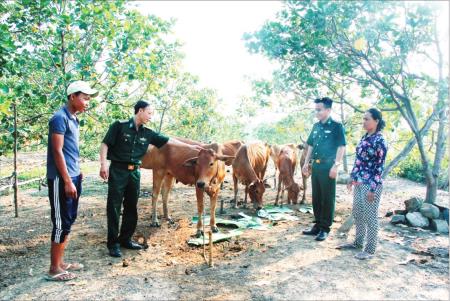 Hiệu quả từ chương trình kết nghĩa, đỡ đầu