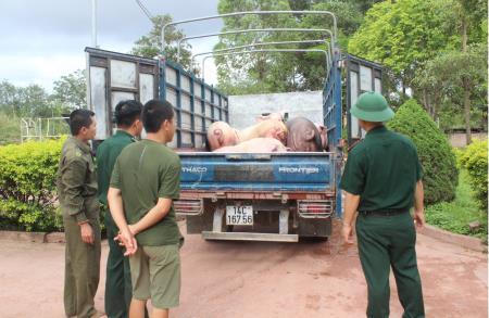 Kiểm soát chặt chẽ tình trạng buôn lậu gia súc, gia cầm qua biên giới