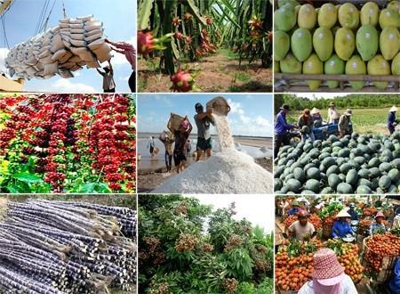 Giải tỏa nông sản xuất khẩu