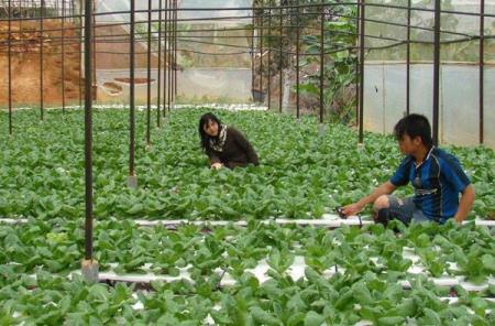 “Chuyến đi” không dành cho những người tư duy cũ