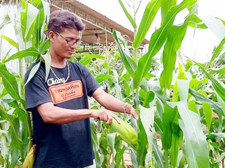 Ấm áp trong vòng tay đất mẹ