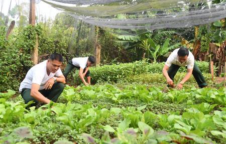 Vượt khó tăng gia ở Đắc Ka